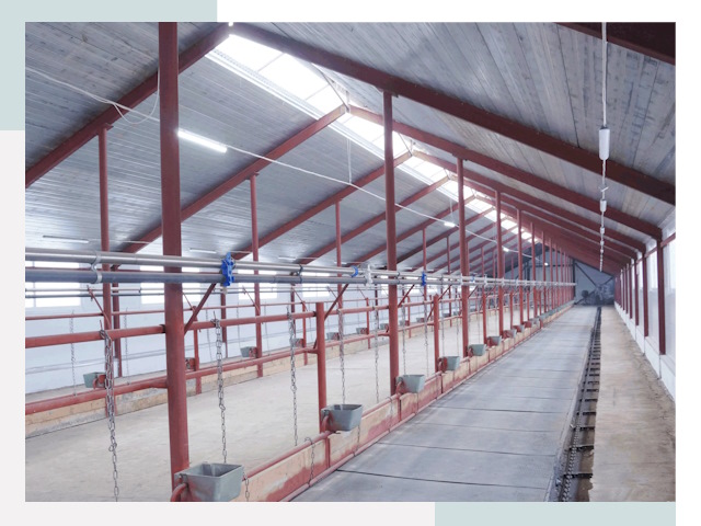 Строительство коровников в Ртищеве от 613 руб.