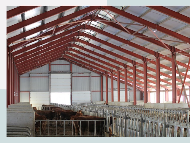 Строительство коровников в Ртищеве