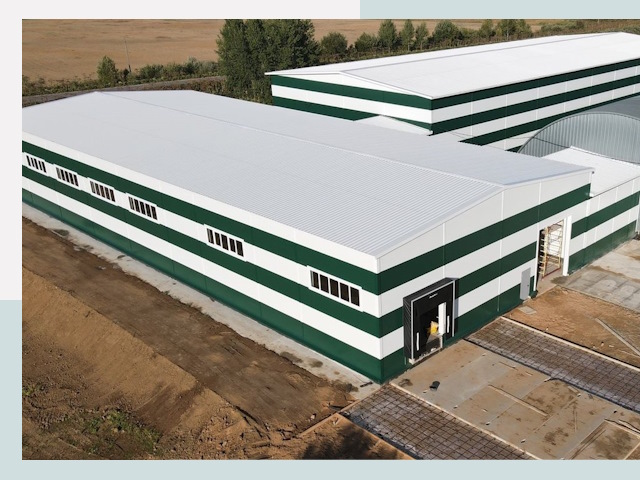 Строительство овощехранилищ в Ртищеве