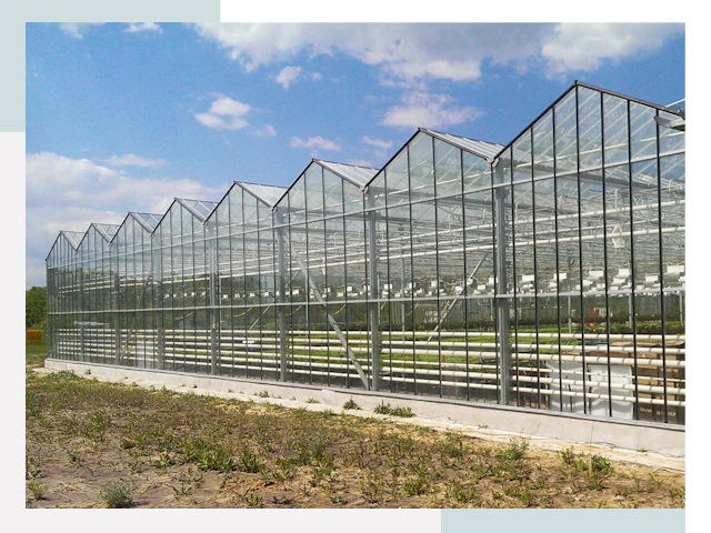 Строительство теплиц в Ртищево от 613 руб. за м²