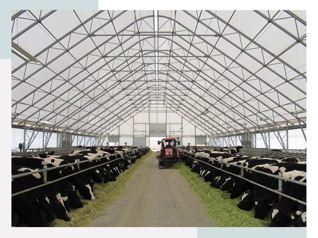 Тентовые коровники в Ртищеве от 613 руб. - Надежно и доступно