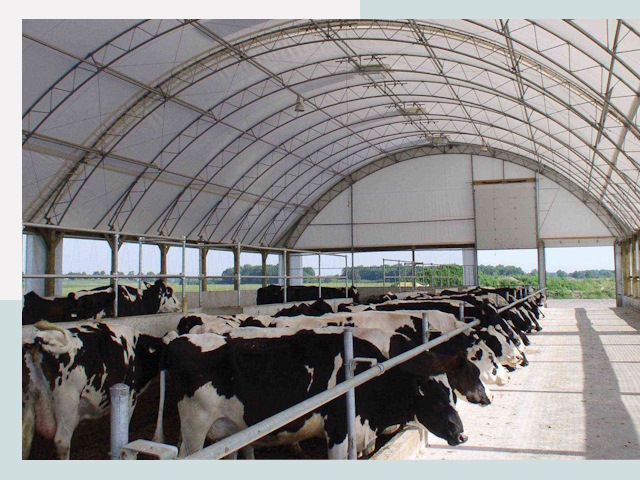 Тентовые коровники в Ртищеве